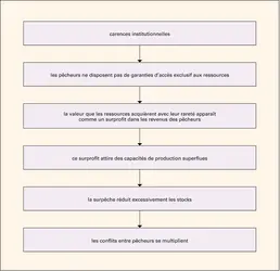 Pêche : dynamique de surpêche - crédits : Encyclopædia Universalis France