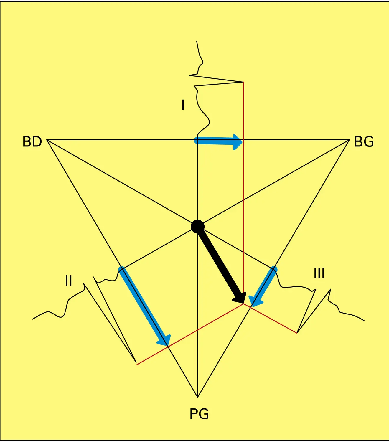 Triangle d'Einthoven - vue 1