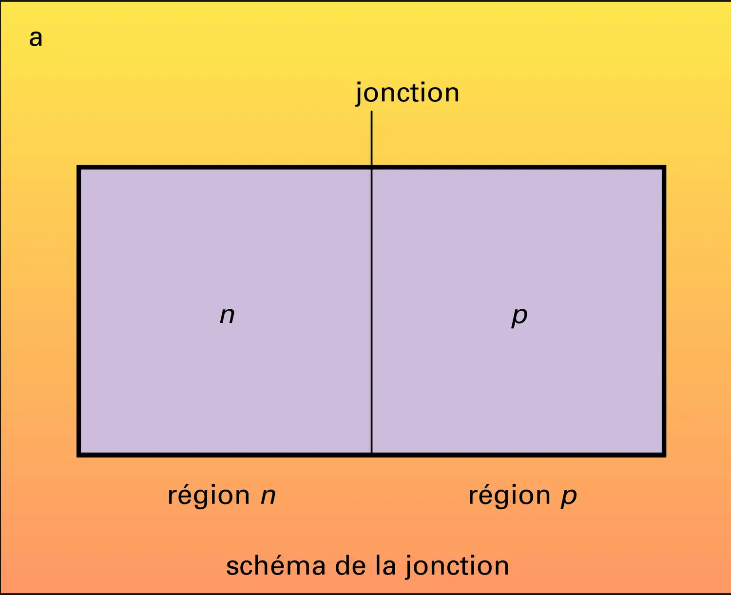 Jonction n-p - vue 1