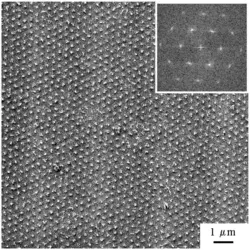 Réseau triangulaires de vortex - crédits : source «Vortex structure in MgB2 single crystals observed by the Bitter decoration technique», L. Ya. Vinnikov, J. Karpinski, S. M. Kazakov, J. Jun, J. Anderegg, S. L. Bud'ko, and P. C. Canfield, 2003, doi.org