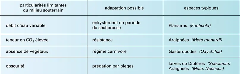 Animaux troglophiles - crédits : Encyclopædia Universalis France