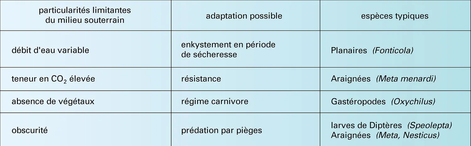 Animaux troglophiles