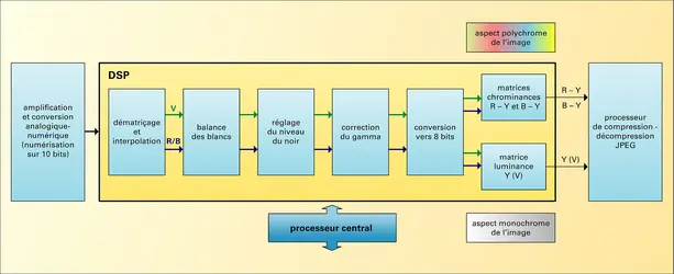 Photographie numérique : architecture d'un DSP (digital signal processor) - crédits : Encyclopædia Universalis France