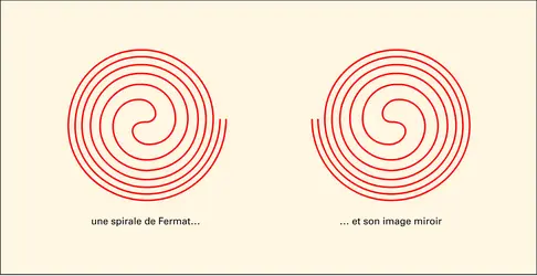 Spirale de Fermat - crédits : Encyclopædia Universalis France