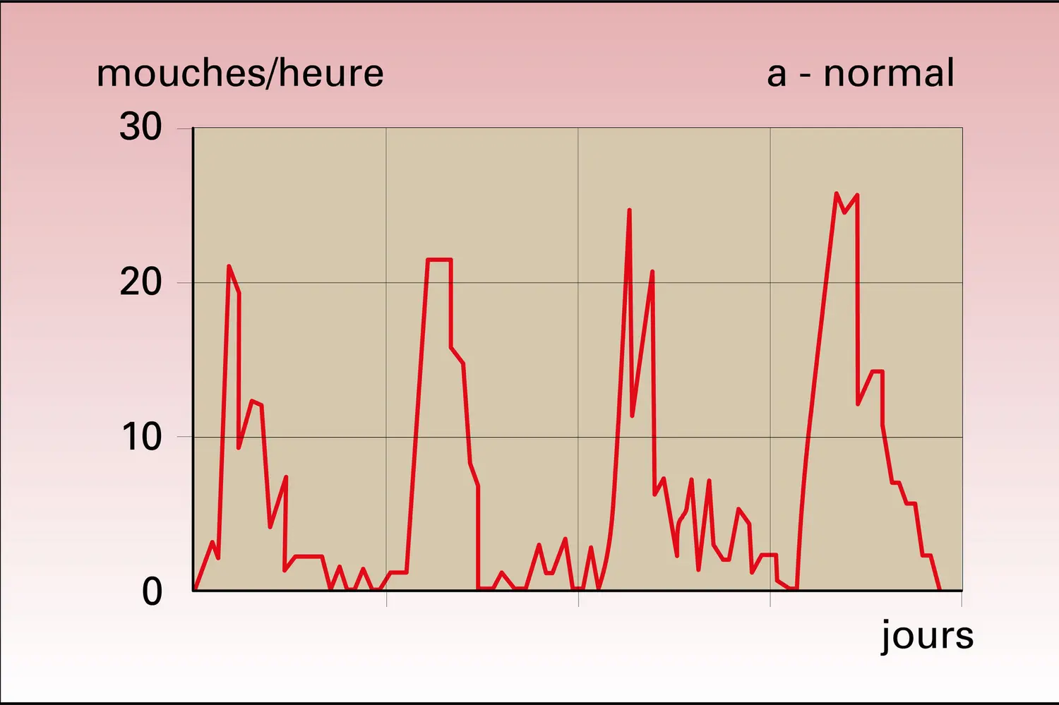 Drosophile : rythmes circadiens d'éclosion - vue 1