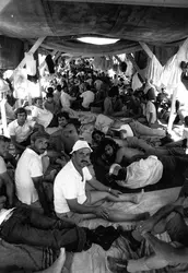 Prisonniers turcs à Chypre, 1974 - crédits : Harry Dempster/ Hulton Archive/ Getty Images