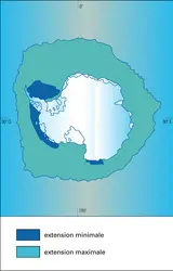 Superficie de la glace de mer - crédits : Encyclopædia Universalis France