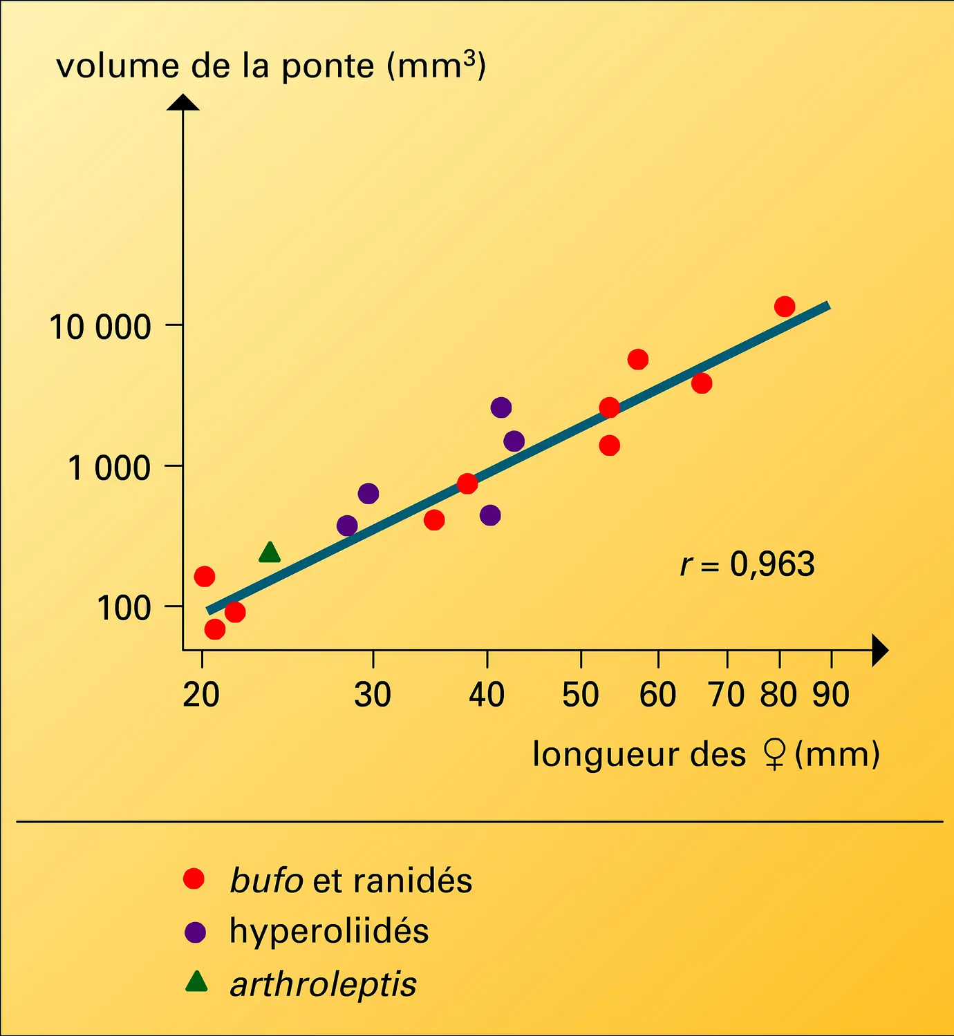 Amphibiens : volume des pontes et longueur des femelles