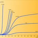 Onde hypersonore longitudinale : atténuation - crédits : Encyclopædia Universalis France