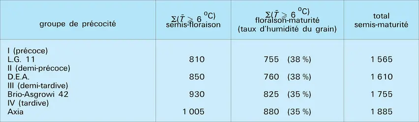 Céréales : besoins thermiques des maïs - crédits : Encyclopædia Universalis France