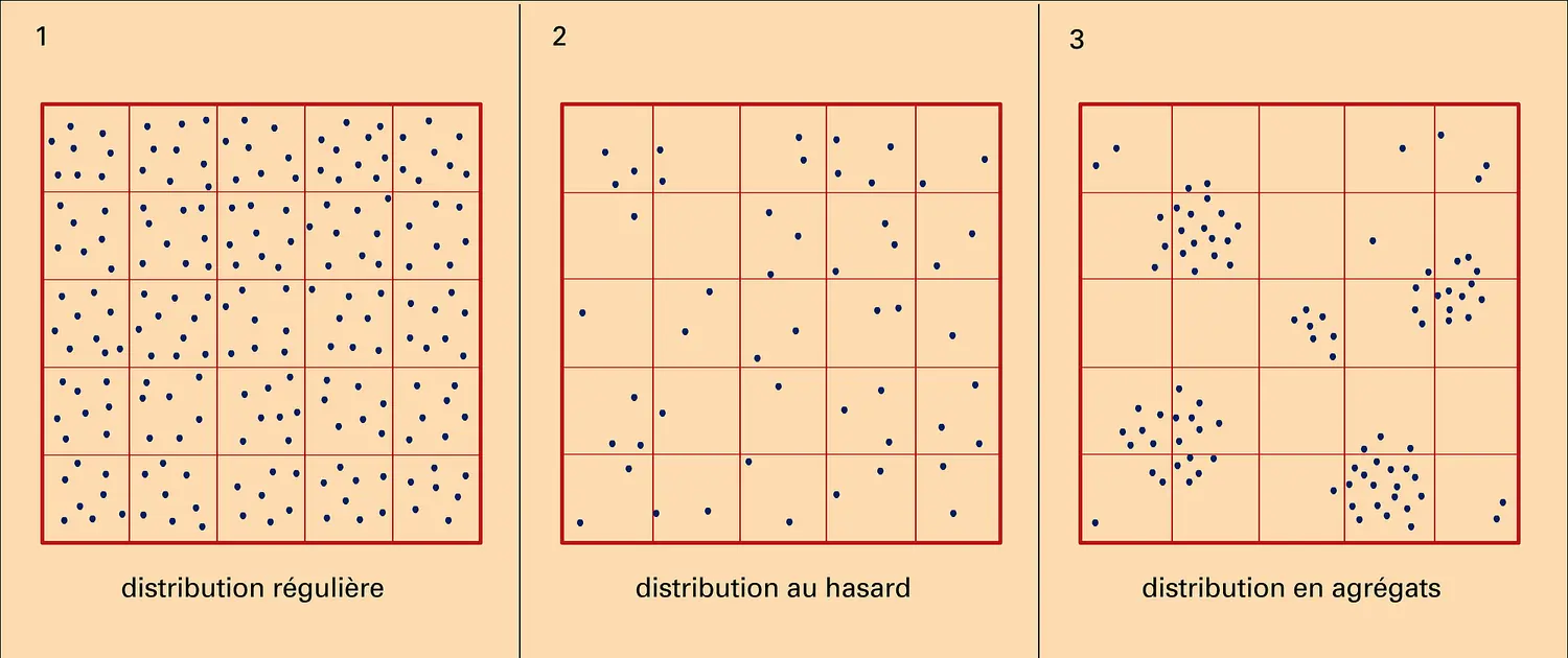 Distributions des représentants d'une espèce