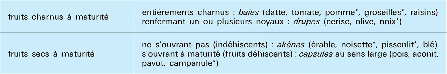 Fruits : classification simplifiée
		 - crédits : Encyclopædia Universalis France