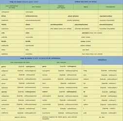 Taxons et nothotaxons - crédits : Encyclopædia Universalis France