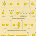 Hydrocarbures - crédits : Encyclopædia Universalis France