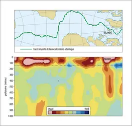 Tomographie sismique le long de la dorsale médio-atlantique - crédits : Encyclopædia Universalis France