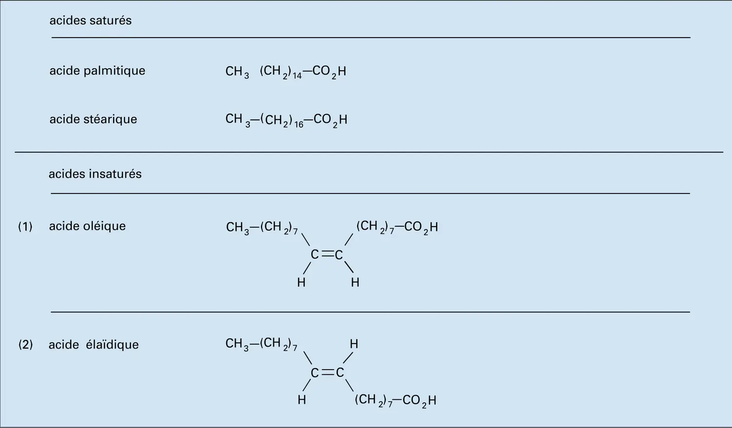 Acides gras : formules - vue 1