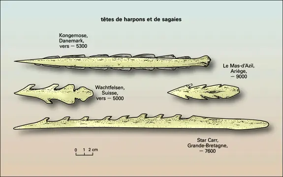 Têtes de harpons et de sagaies