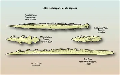 Têtes de harpons et de sagaies - crédits : Encyclopædia Universalis France
