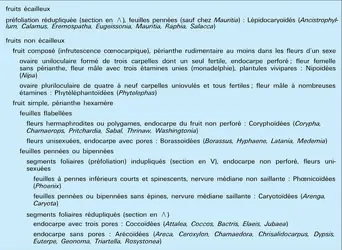 Classification selon les caractères - crédits : Encyclopædia Universalis France
