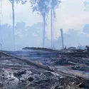 Déforestation en Amazonie - crédits : Avalon/ Universal Images Group/ Getty Images