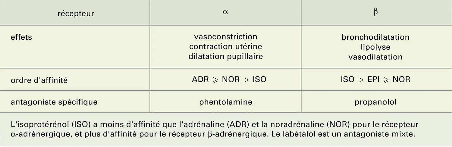 Récepteurs adrénergiques : Classification