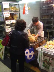 Marché aux volailles à Tai Po, Hong Kong - crédits : Frédéric Keck