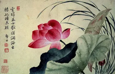 <it>Fleur de lotus</it>, de Yun Shouping - crédits :  Bridgeman Images 