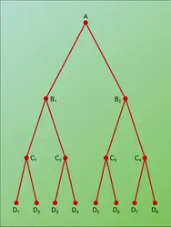 Organisation lignagère - crédits : Encyclopædia Universalis France