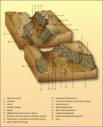 Stoechades - crédits : Encyclopædia Universalis France