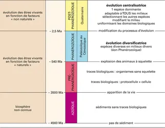 Stratigraphie : grandes coupures géologiques en fonction de l'histoire de la biosphère - crédits : Encyclopædia Universalis France