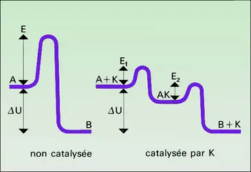 Diagramme énergétique - crédits : Encyclopædia Universalis France