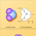 Molécule d'eau - crédits : Encyclopædia Universalis France