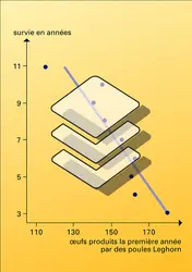 Variation de la survie en fonction de l'effort de reproduction - crédits : Encyclopædia Universalis France