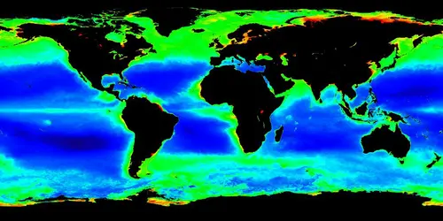 Concentration en chlorophylle dans les océans - crédits : NASA