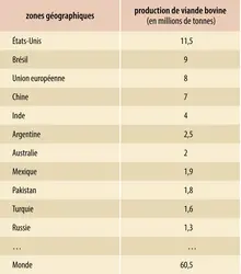 Production de viande bovine - crédits : Encyclopædia Universalis France