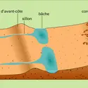 Plage de sable avec galets - crédits : Encyclopædia Universalis France