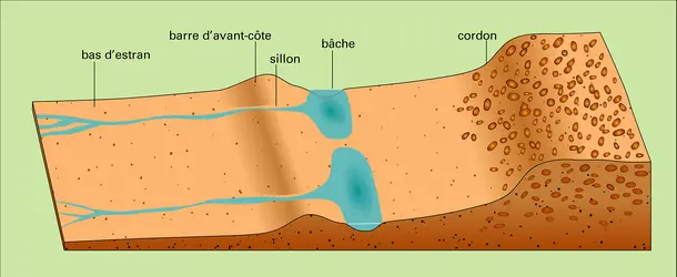 Plage de sable avec galets - crédits : Encyclopædia Universalis France