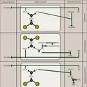 Acido-basique (équilibre) - crédits : Encyclopædia Universalis France