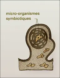 Mycétocyte - crédits : Encyclopædia Universalis France