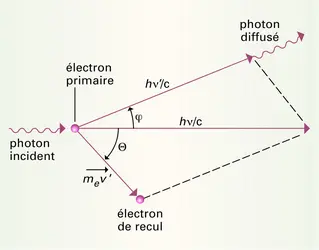 EFFET COMPTON : Aspects physiques et biologiques - Encyclopædia Universalis