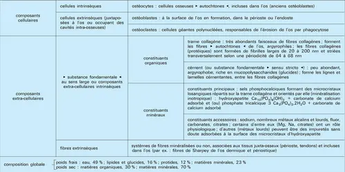 Composant et constituants du tissu osseux - crédits : Encyclopædia Universalis France