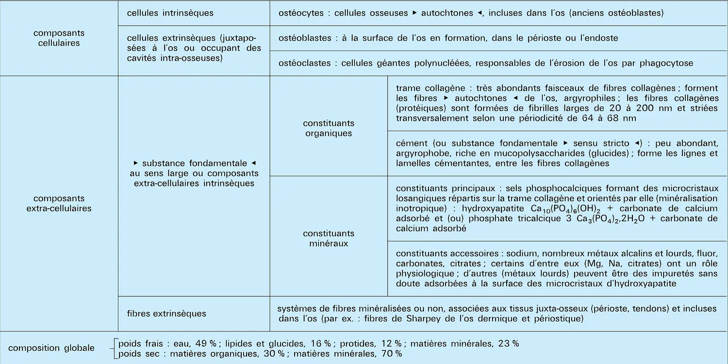 Composant et constituants du tissu osseux