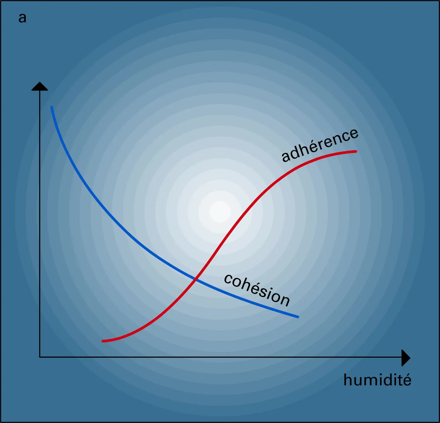 Cohésion, adhérence et humidité - vue 1