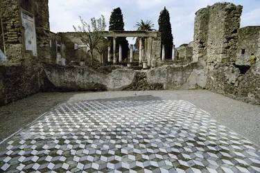 Maison du Faune, Pompéi : pavement - crédits : Erich Lessing/ AKG-images