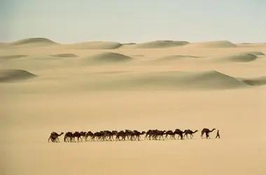 Sahara (Mauritanie) - crédits : Barbara Maurer/ The Image Bank/ Getty Images