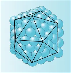 Structure icosaédrique multicouches - crédits : Encyclopædia Universalis France