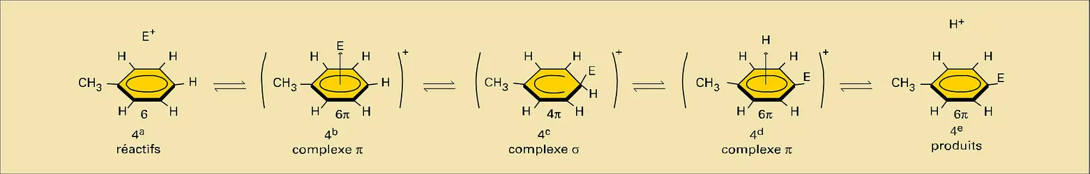 Substitution électrophile - crédits : Encyclopædia Universalis France