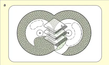 Pompe à becs - crédits : Encyclopædia Universalis France