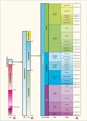 Mésozoïque : échelle stratigraphique - crédits : Encyclopædia Universalis France