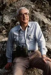 Murray Gell-Mann (1929-2019) - crédits : Kevin Fleming/ Corbis/ Getty Images